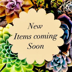 More items coming soon!!